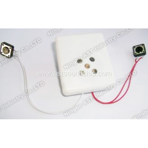 Sound Module for Plush Toy, Sound Module, Voice Recorder